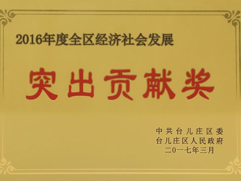 臺兒莊區(qū)經(jīng)濟(jì)社會發(fā)展突出貢獻(xiàn)獎(jiǎng)